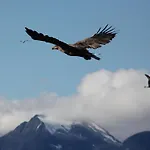 Alojamento de Turismo Selvagem Arctic Panorama