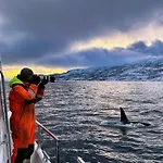 Arctic Panorama Uløybukta