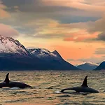 Arctic Panorama * Uløybukta