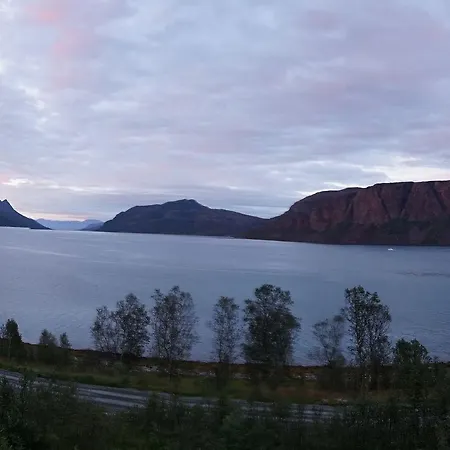 Arctic Panorama Деревянный коттедж