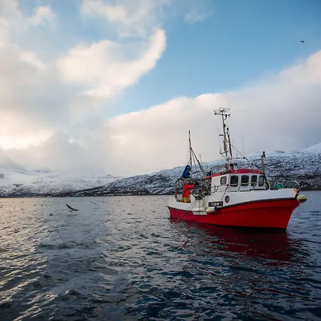 Lodge Arctic Panorama