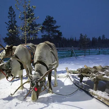 Alojamento de Turismo Selvagem Arctic Panorama