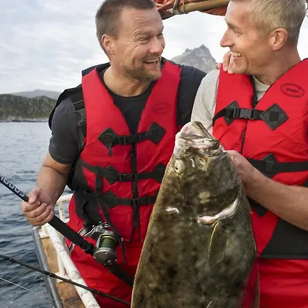 Lodge Arctic Panorama Uloybukta