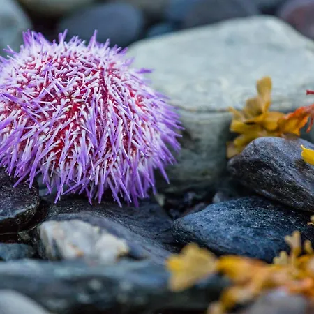 Arctic Panorama * Uloybukta