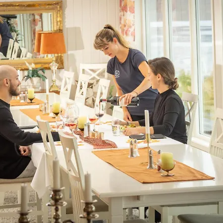 Orman Evi Arctic Panorama