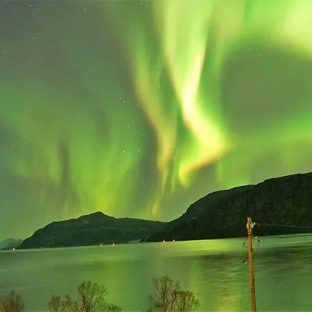 Orman Evi Arctic Panorama Uløybukta