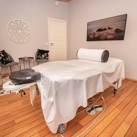 Arctic Panorama Orman Evi *