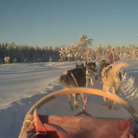 Orman Evi Arctic Panorama Uløybukta