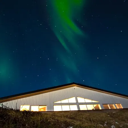 Arctic Panorama Orman Evi