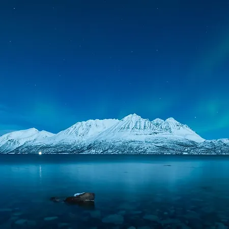 Arctic Panorama